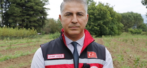 Kocaeli'de atıl araziler üreticilere sağlanan destekle tarıma kazandırılıyor