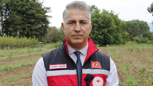 Kocaeli'de atıl araziler üreticilere sağlanan destekle tarıma kazandırılıyor