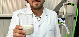 Sakarya'da ayvadan gıda sektöründe kıvam artırmada kullanılan pektin üretil...