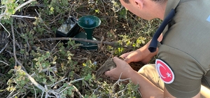 Mersin'de kuş tuzağına takılan bıldırcın kılavuzunu polis kurtardı