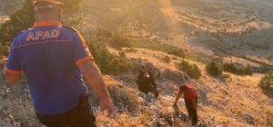 Erzincan'da kayalıklarda mahsur kalan kişi, ekiplerin ortak çalışmasıyla ku...