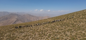 Doğaseverler, Van Gölü konusunda farkındalık oluşturmak için Artos Dağı'na...
