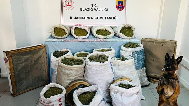 Elazığ ve Diyarbakır'da 241 kilogram esrar, 1230 kök Hint keneviri ele geçirildi
