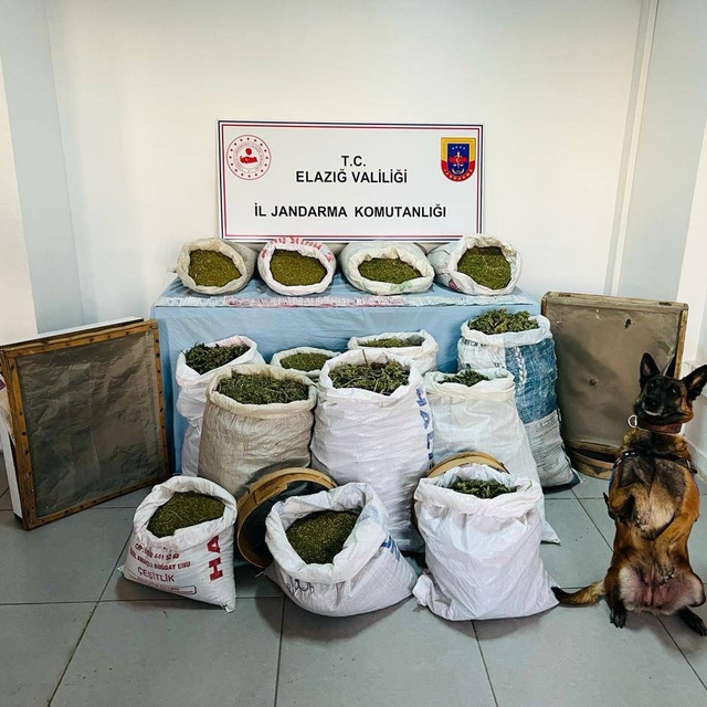 Elazığ ve Diyarbakır'da 241 kilogram esrar, 1230 kök Hint keneviri ele geçi...