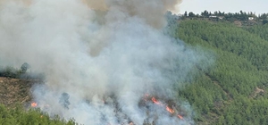 Adana'da çıkan orman yangını kontrol altına alındı