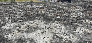 Gümüşhane'de örtü yangınında 2 hektarlık alan zarar gördü