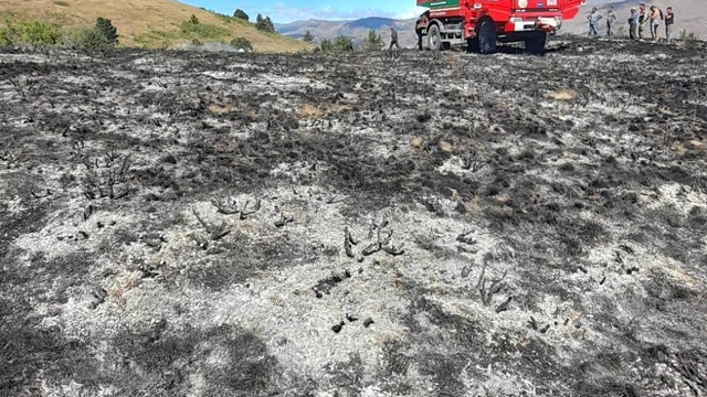 Gümüşhane'de örtü yangınında 2 hektarlık alan zarar gördü