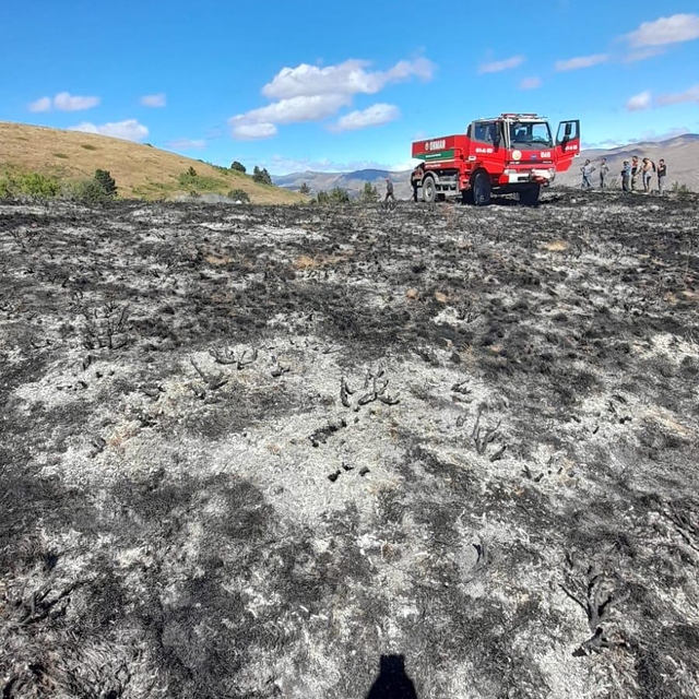 Gümüşhane'de örtü yangınında 2 hektarlık alan zarar gördü