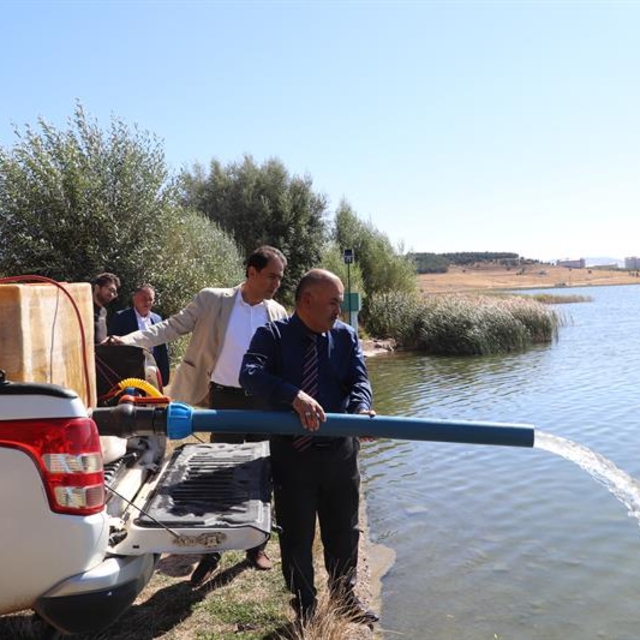 Sivas'ta göletlere 860 bin sazan yavrusu bırakıldı