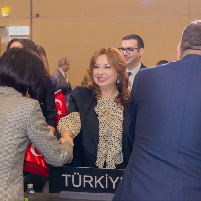 Dünya Mirası Listesi'ne iki alanının daha eklenmesiyle Türkiye'deki miras a...