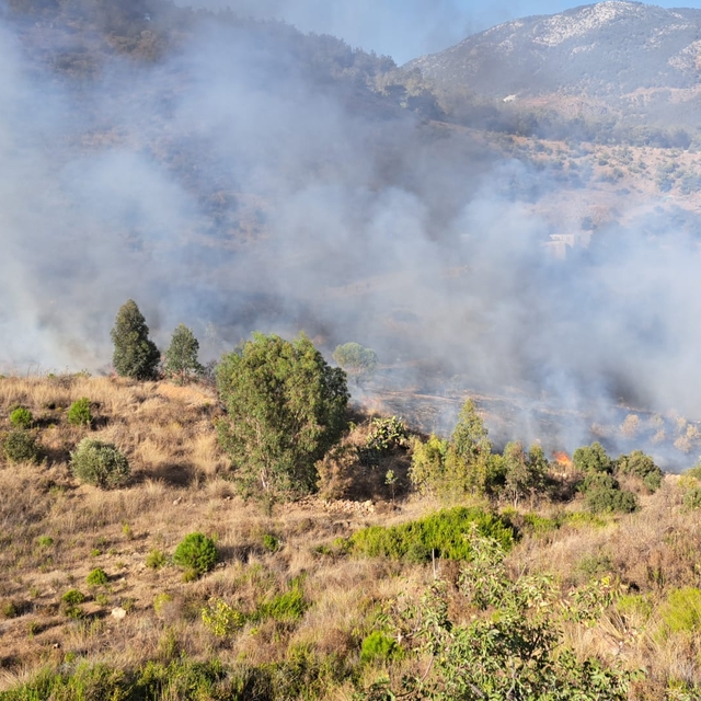 Mersin'de çıkan orman yangını söndürüldü