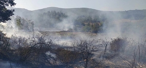 Bursa'da tarım arazisinde çıkan yangın büyümeden söndürüldü