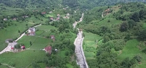 Artvin'de sahibini ısıran köpek kuduz çıktı; 3 köye karantina