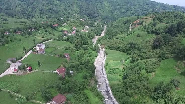 Artvin'de sahibini ısıran köpek kuduz çıktı; 3 köye karantina