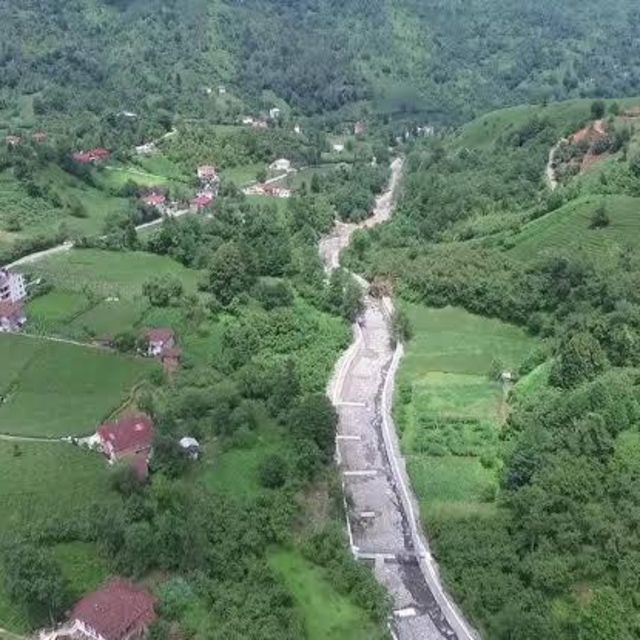 Artvin'de sahibini ısıran köpek kuduz çıktı; 3 köye karantina