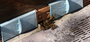 Ürettiği su bazlı propolisi sağlık sektörünün hizmetine sunuyor