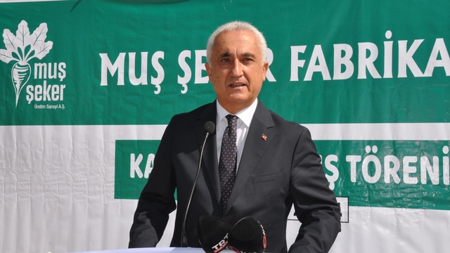 Muş'ta şeker pancarı alım kampanyası başladı