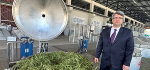 Kocaeli'de işlenen nane, biberiye ve oğul otundan 70 çeşit ürün elde ediliyor