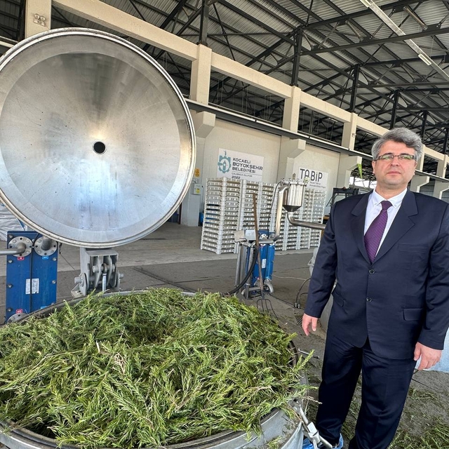 Kocaeli'de işlenen nane, biberiye ve oğul otundan 70 çeşit ürün elde ediliy...
