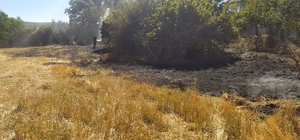 Yeniçağa ve Dörtdivan'da çıkan anız yangınları söndürüldü