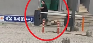 Başıboş köpekleri sürükleyerek toplayan belediye görevlilerine soruşturma