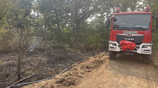Edirne'de sınır hattında ormanlık alanda yangın çıktı
