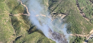 Honaz'da ağaçlandırma sahasında çıkan yangın kontrol altına alındı