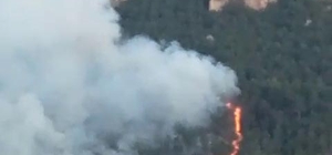 Karabük'te orman yangını