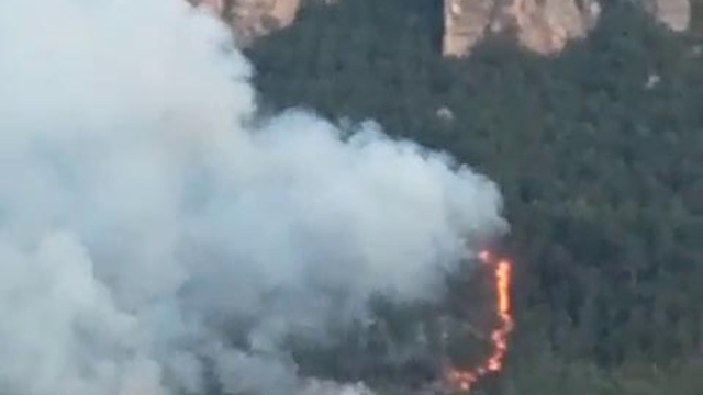 Karabük'te orman yangını