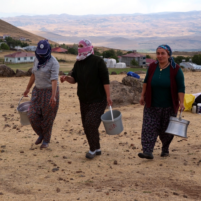 Muş'ta kadınların yayladaki süt sağım mesaisi sürüyor