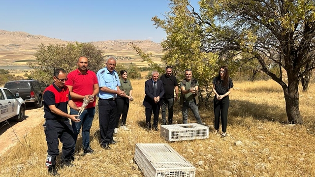 Gercüş'te 200 kınalı keklik doğaya bırakıldı