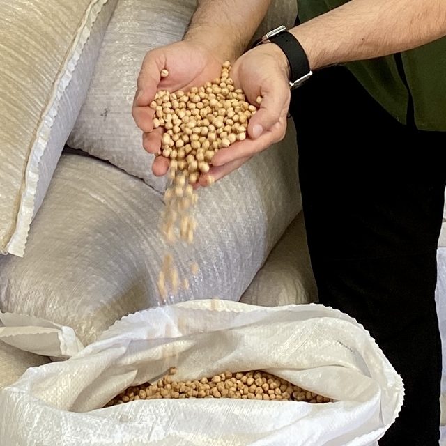 Kırşehir'de 700 bin dekara nohut ekilmesi hedefleniyor