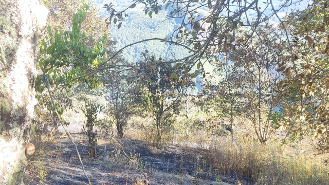 Galeri