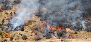 GÜNCELLEME - Sivas'ta otluk ve ağaçlık alanda çıkan yangın söndürüldü