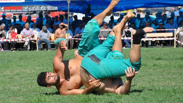 Galeri