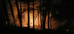 Karabük'te ormanlık alanda çıkan yangın söndürüldü