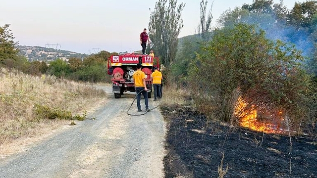 Bilecik'te tarlada çıkan yangın söndürüldü