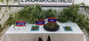 Aydın'da uyuşturucu operasyonunda 1 kişi yakalandı