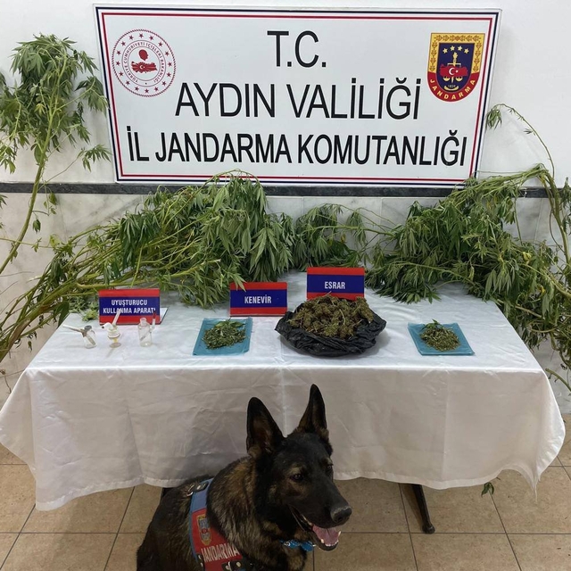 Aydın'da uyuşturucu operasyonunda 1 kişi yakalandı