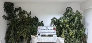 Malatya'da uyuşturucu operasyonunda yakalanan 2 şüpheli tutuklandı