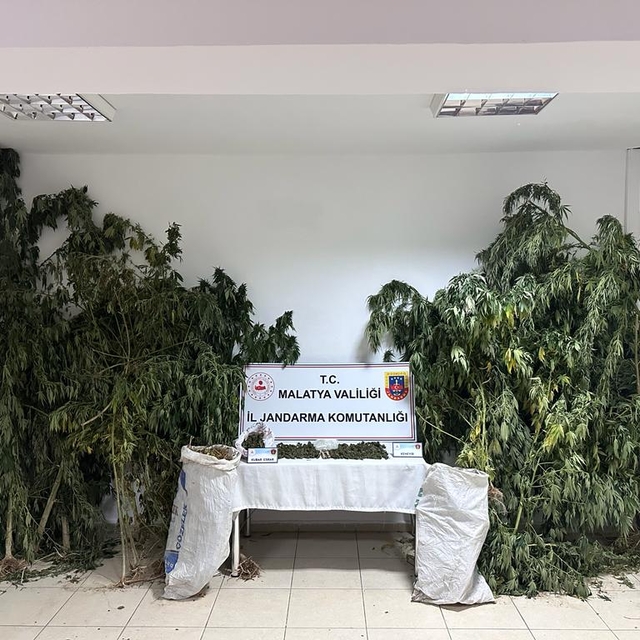 Malatya'da uyuşturucu operasyonunda yakalanan 2 şüpheli tutuklandı