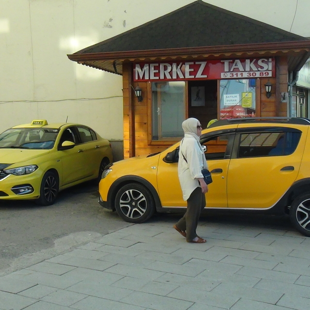 Taksi plakalarının ihaleyle satışı mahkemeye takıldı