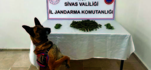 Sivas'ta uyuşturucu operasyonunda 3 şüpheli yakalandı