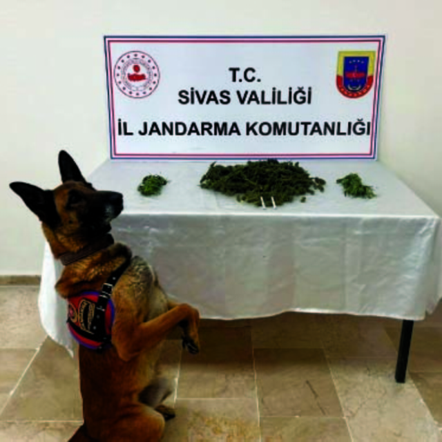 Sivas'ta uyuşturucu operasyonunda 3 şüpheli yakalandı