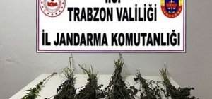 Trabzon'daki uyuşturucu operasyonunda 2 şüpheli gözaltına alındı