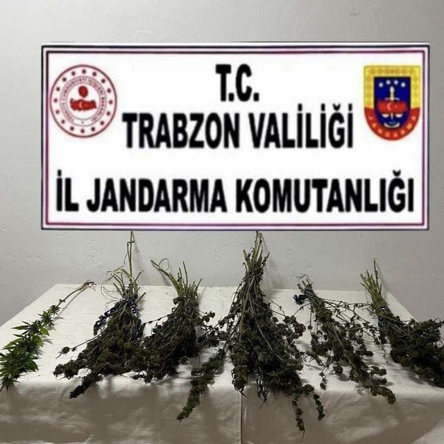 Trabzon'daki uyuşturucu operasyonunda 2 şüpheli gözaltına alındı