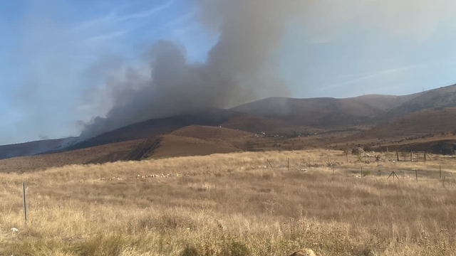 Çankırı'da ormanlık alandaki yangın söndürüldü