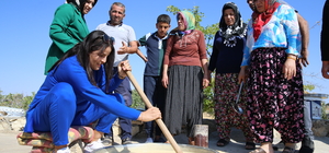 Diyarbakır'da bağ bozumu başladı