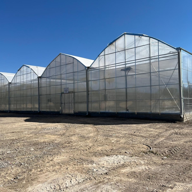 Eldivan'da örnek sera projesinde sona gelindi