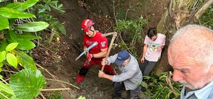 Giresun'da uçuruma düşen inek kurtarıldı